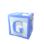 blockcapG207.gif (19796 bytes)